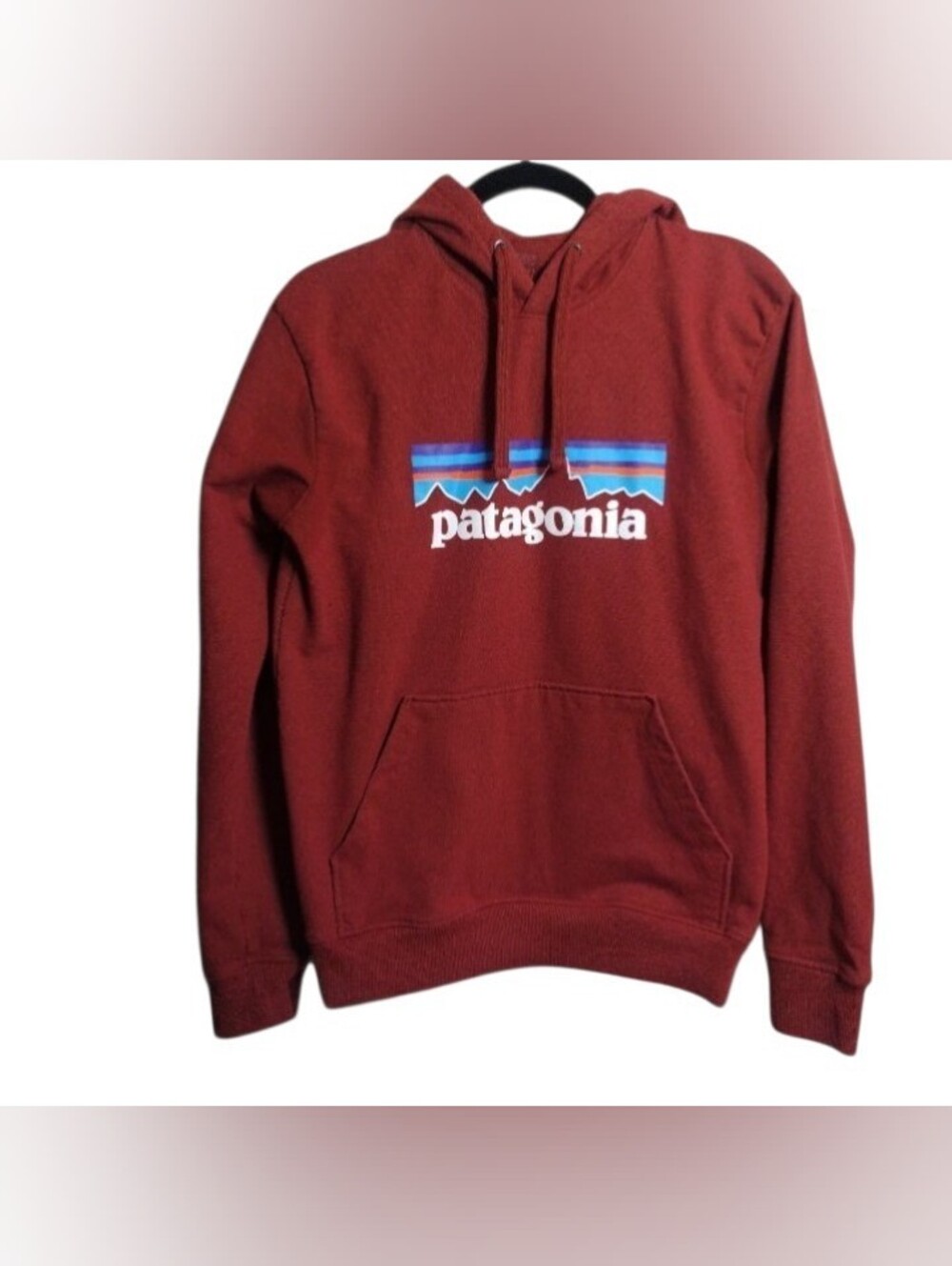 Patagonia Men's Maroon Logo Hoodie Excellent